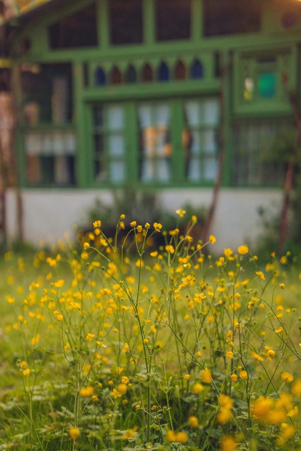 Média maison et jardin : simplifiez votre quotidien avec wair